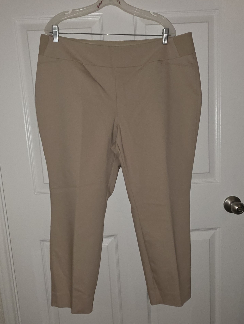Investments Tailored Cropped Ankle Pants in Light Beige